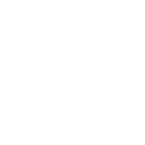 Jesus Youth Logo Watermark
